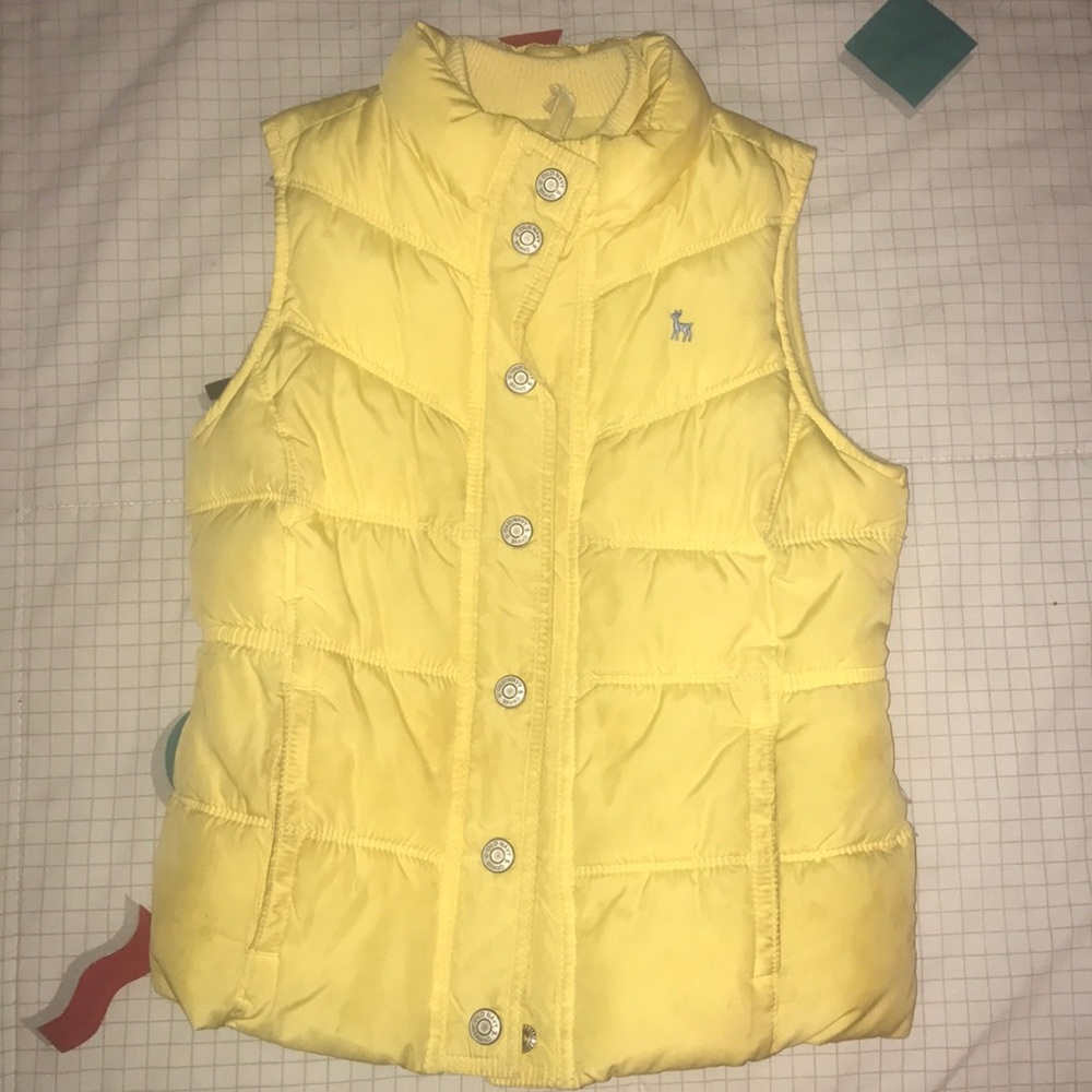 Vest